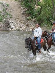 horse water 5.jpg